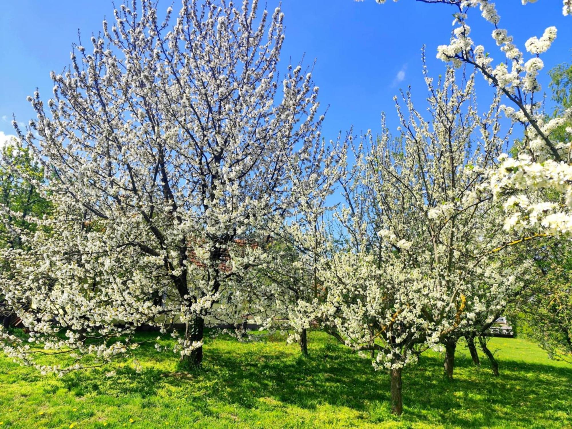 Penzion Arkadia Kyselica Esterno foto
