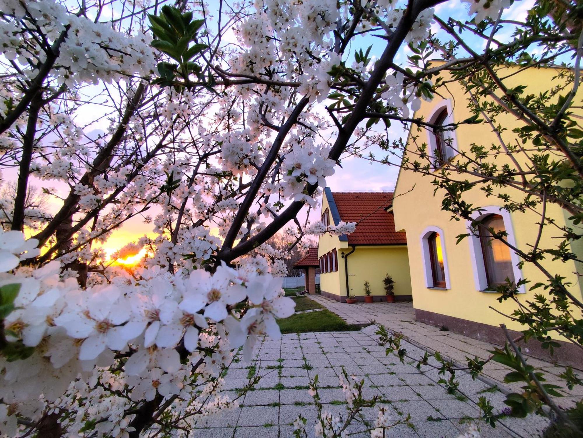 Penzion Arkadia Kyselica Esterno foto